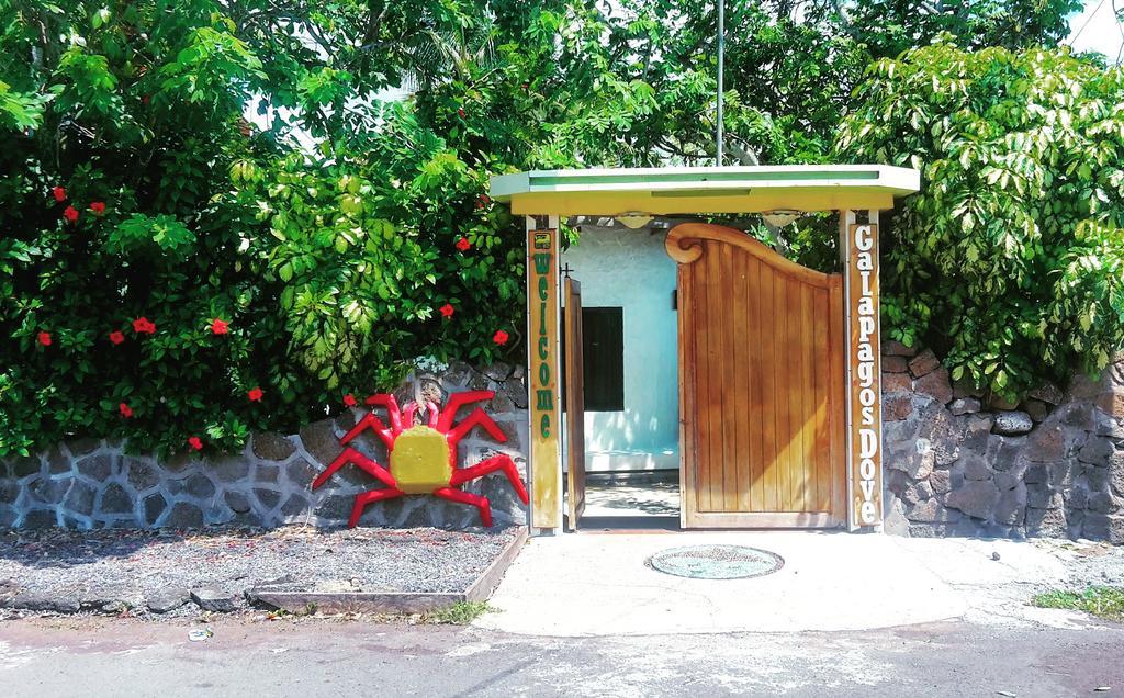 Hotel Galapagos Dove Puerto Ayora  Esterno foto